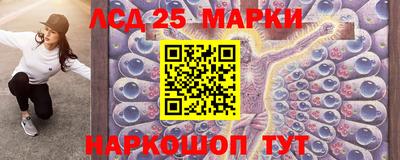 молекула духа Тверь