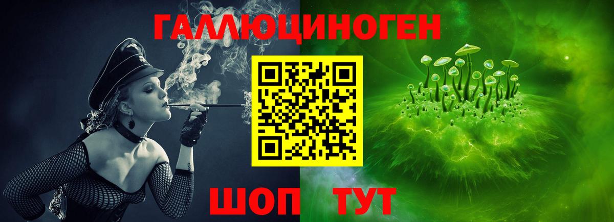 Ногинск  цена наркотик  Вход с VPN  Псилоцибиновые грибы Psilocybe 